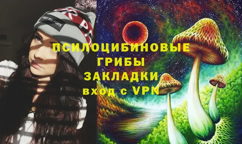 Псилоцибиновые грибы Psilocybe  Зеленодольск 